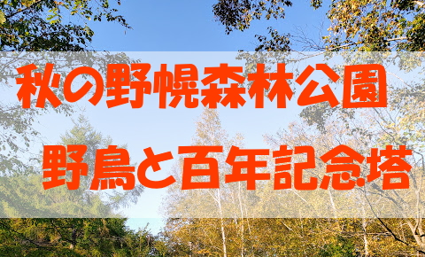 年 野幌森林公園に秋が来た 百年記念塔と野鳥も一緒に 札幌が好きすぎる男の物語